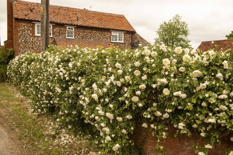 Wensum Farmhouse